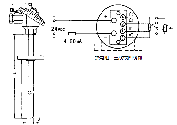 SBWZ-2481/430熱電阻一體化溫度變送器安裝圖片