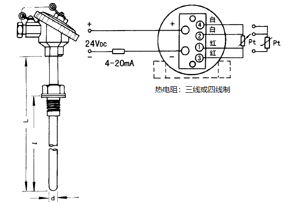 SBWZ-2481/230熱電阻一體化溫度變送器安裝圖片