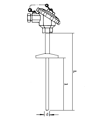 WZP-220T衛生型卡盤裝配式熱電阻安裝圖片